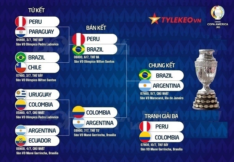 Copa America Final match