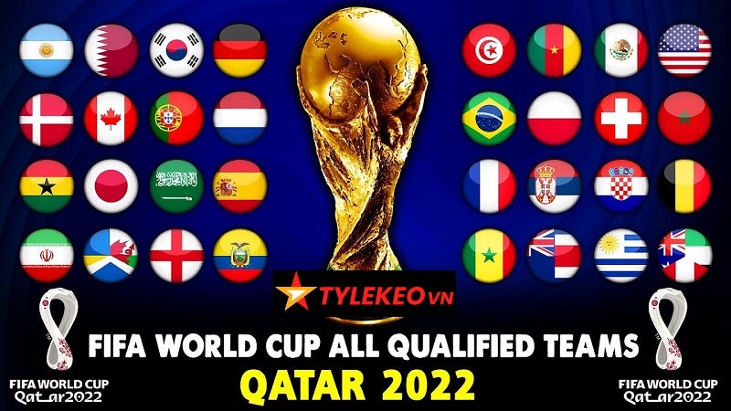 Cac doi bong World Cup 2022 - Tylekeo